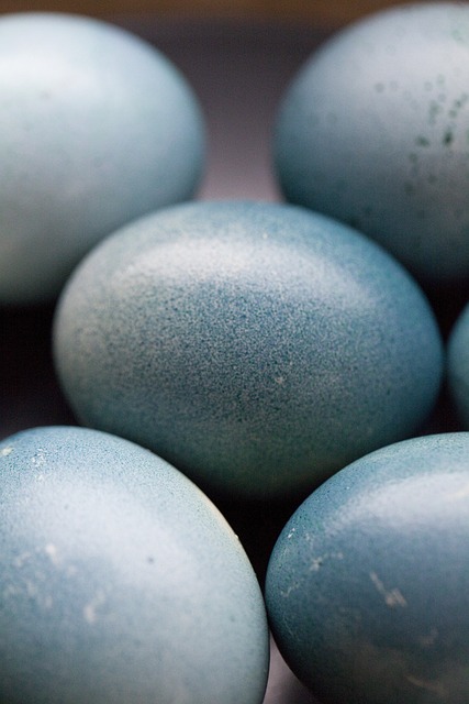 kiaušinių dažymas mėlynėmis